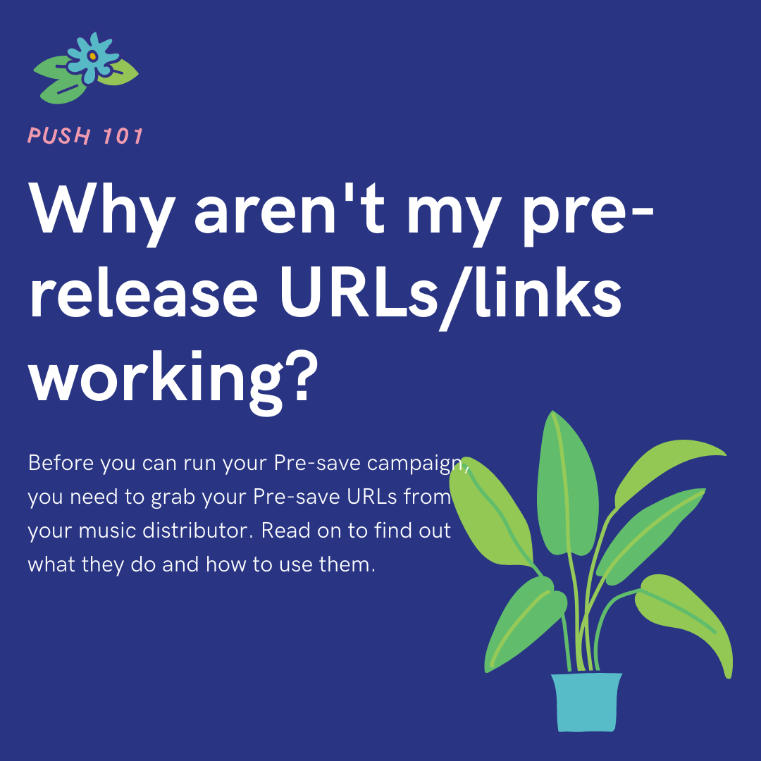 pre-saves-why-aren-t-my-pre-release-urls-links-working-push-fm