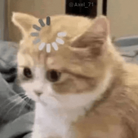 The 3-step guide to using trending audio without being late. GIF of a confused cat with a loading circle.