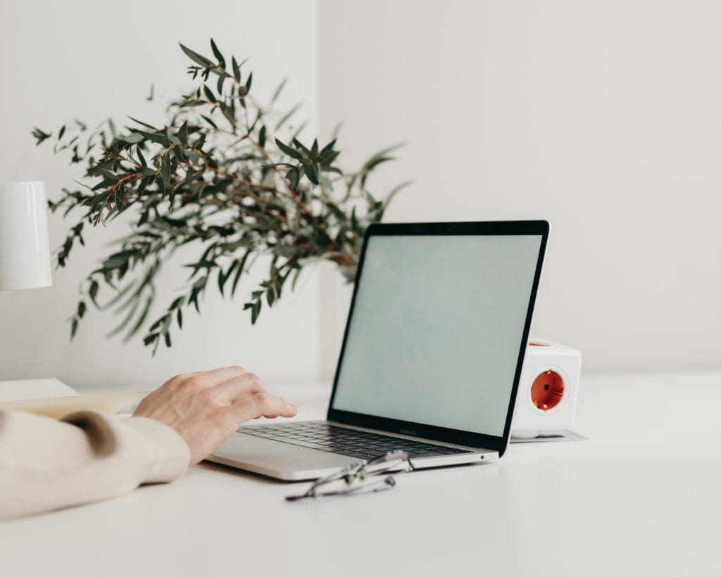 Pexels image of a laptop and plant