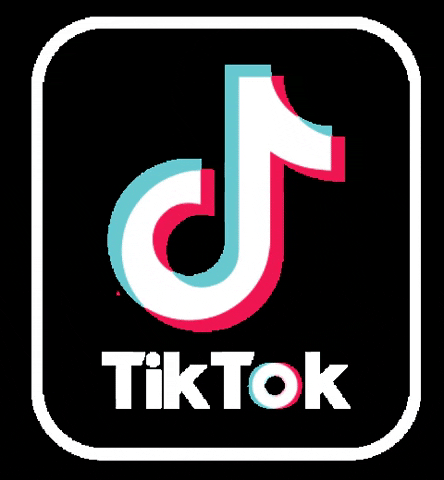TikTok flashing logo gif