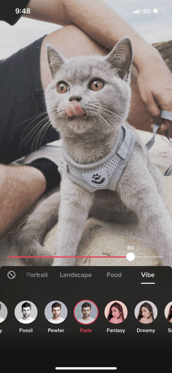How to use TikTok - a thorough guide for beginners - PUSH.fm