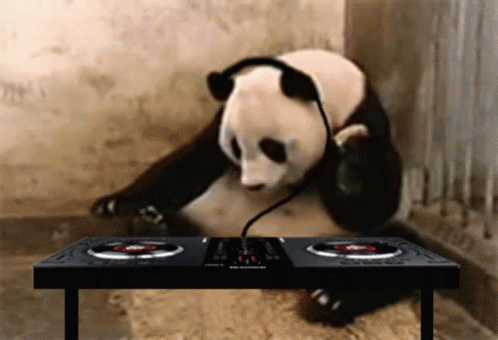 Panda on DJ decks