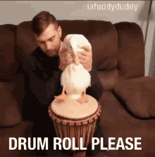 Duck drum roll