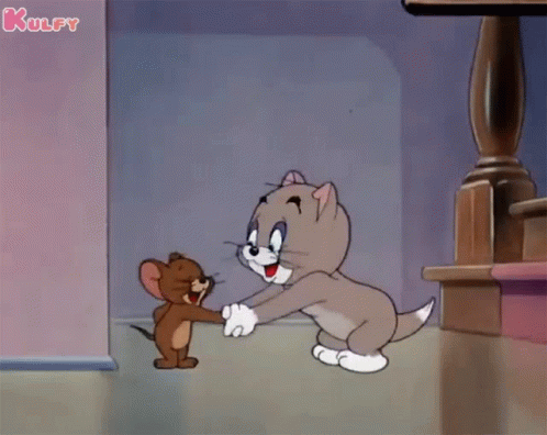 Tom and Jerry gif