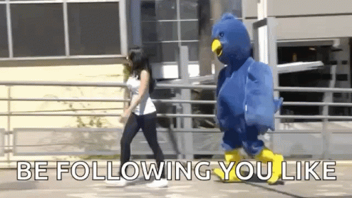 Bird following a girl
