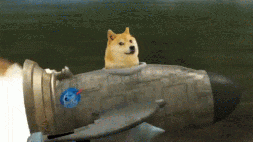 Dog in rocket GIF