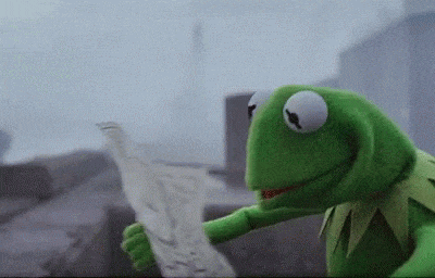 Kermit the frog looking at a map GIF