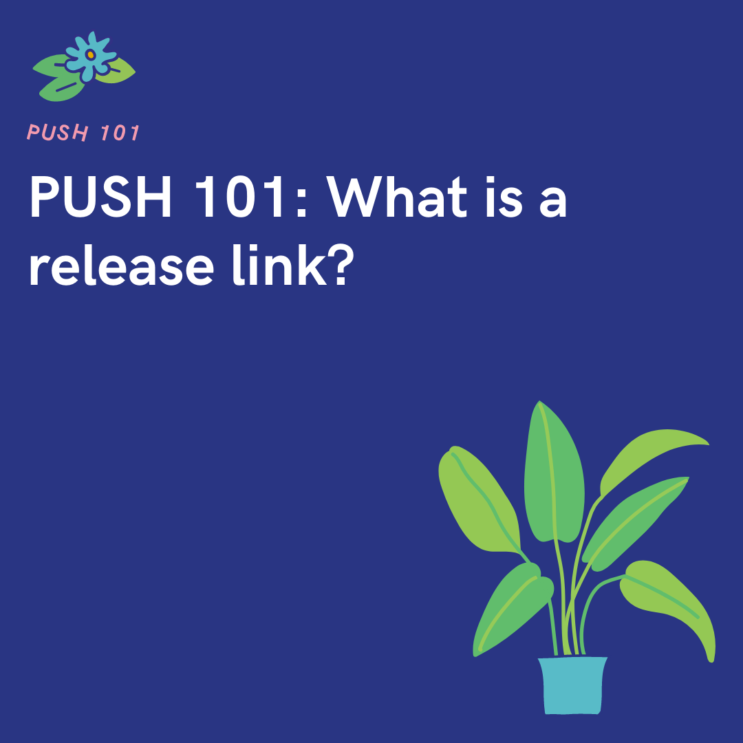 PUSH 101 What is a release link? PUSH.fm