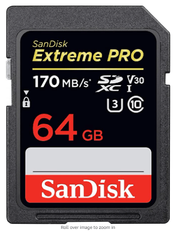 64GB class 10 SanDisk SD card