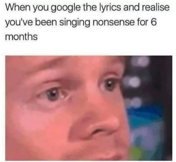 Meme of man looking concerned. Statement says "when you google the lyrics and realise you've been singing nonsense for 6 months"