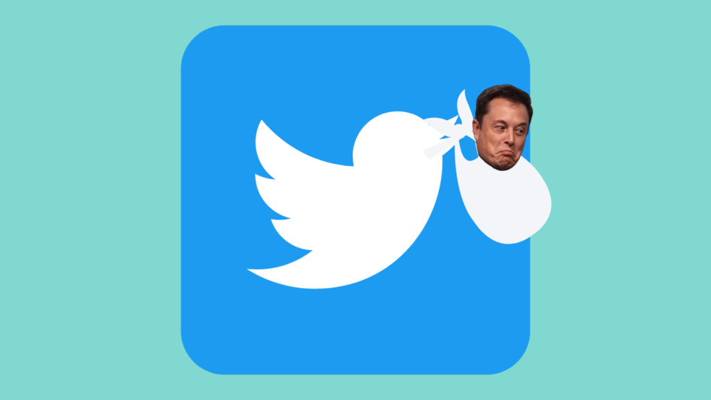 Light blue background with Twitter logo in the middle. The Twitter bird is holding a sack like a stork and in it is Elon Musks head.