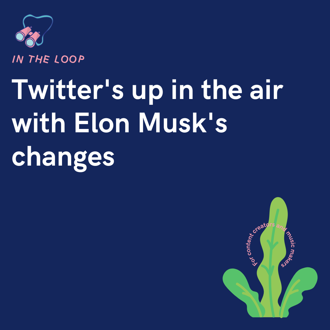 Twitter's up in the air with Elon Musk's changes PUSH.fm