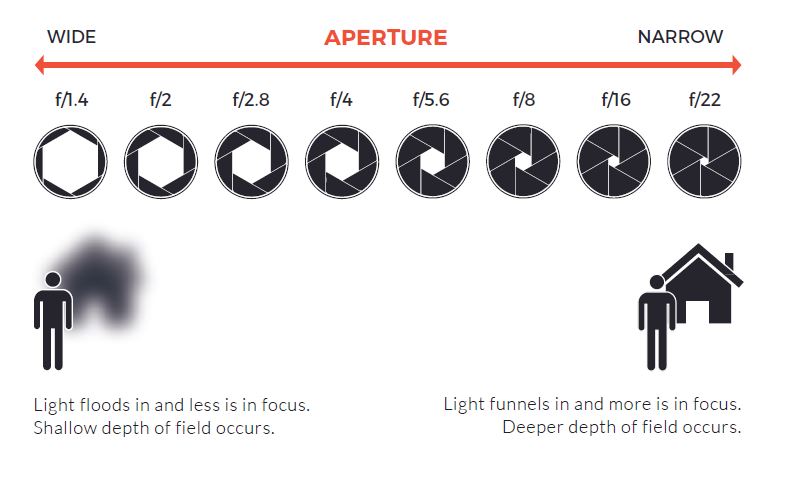 Photography terminology for beginners. Aperture photo.