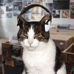 Top 3 headphone choices for independent musicians. GIF of cat listening to headphones.