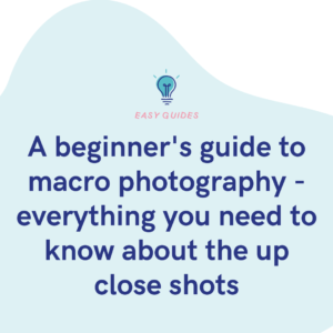 A beginner's guide to macro photography - everything you need to know about the up close shots