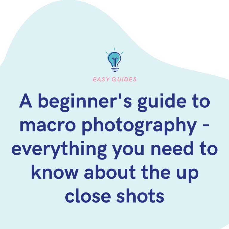 A beginner's guide to macro photography - everything you need to know about the up close shots