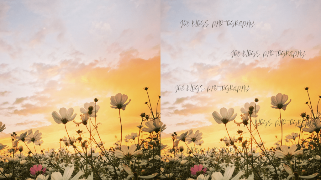 A complete guide to watermarking your images. Two floral photos side by side, one with writing all over it.