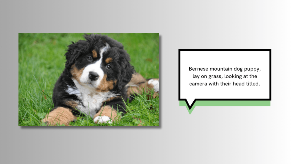 How to successfully use alt text within your images. Photo of a puppy on the left, with an alt text example on the right.
