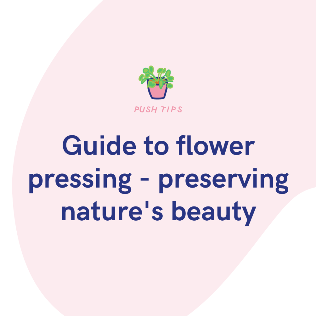 Guide to flower pressing - preserving nature's beauty