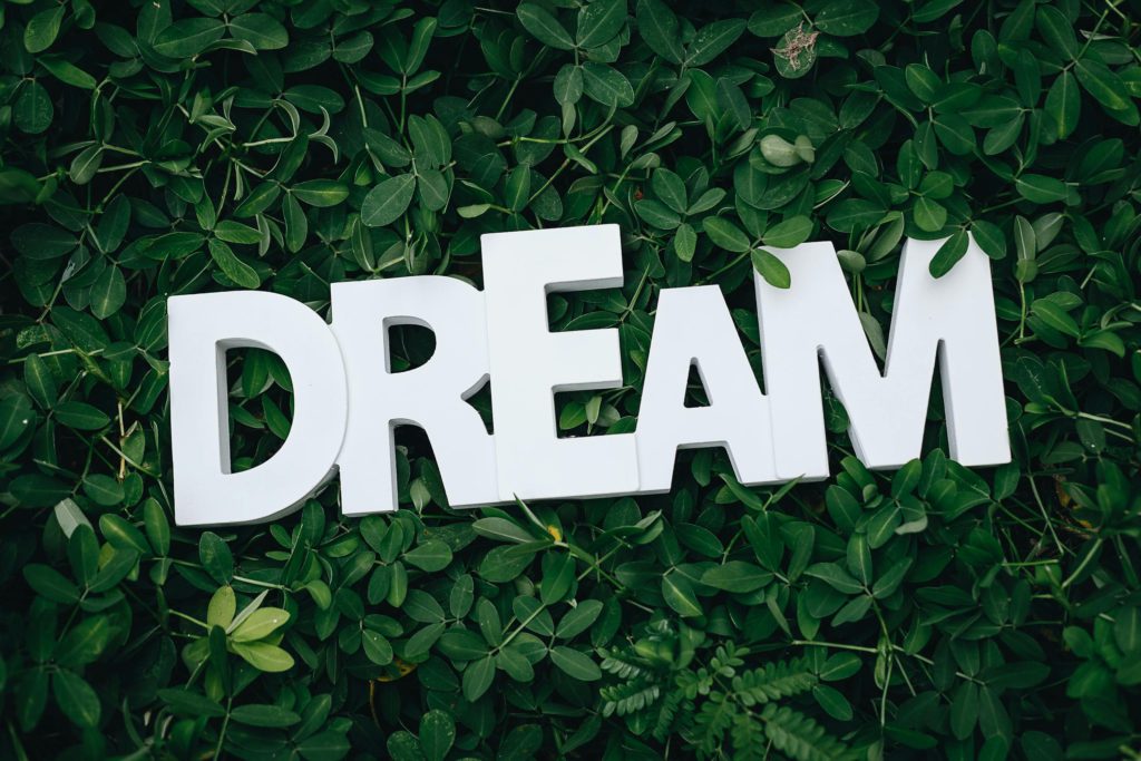 White letters saying Dream, against a leafy background.