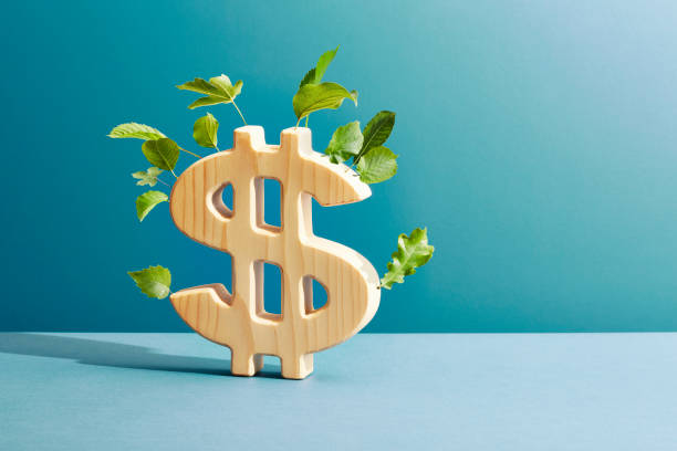 Investment strategies for beginners. Photo of a wooden dollar sign with green leaves growing from it.