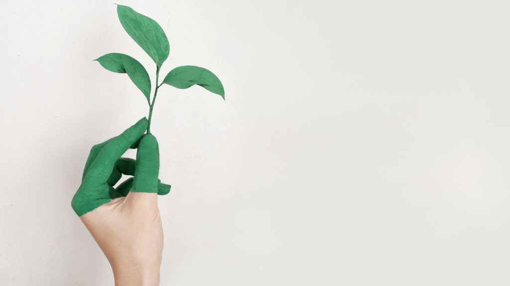 What kind of content performs best on social media? Hand holding a sprouting stem. Half the hand and the stem are green.