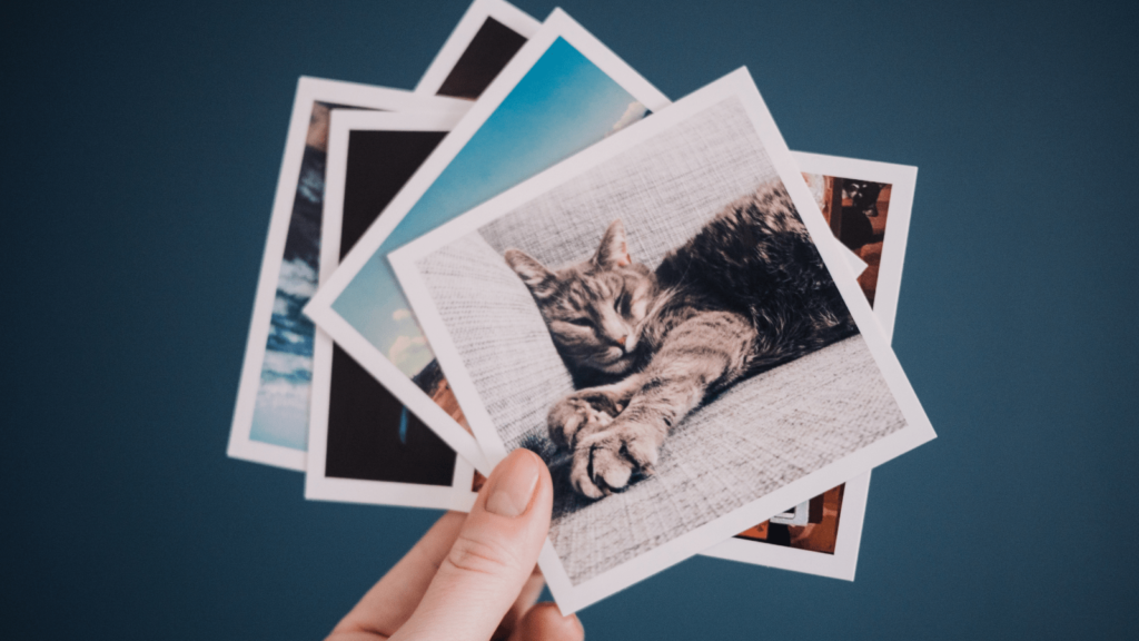 Selling prints online: a step-by-step guide. Photo prints.