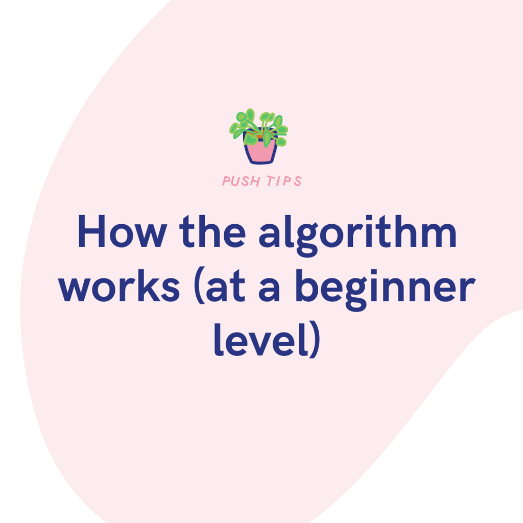 How the algorithm works (at a beginner level)