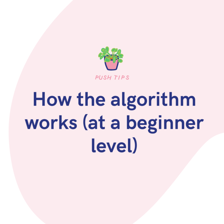 How the algorithm works (at a beginner level)