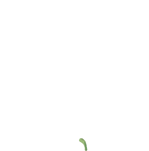 YouTube Shorts for musicians: growth strategies that actually work. GIF of a flower growing.