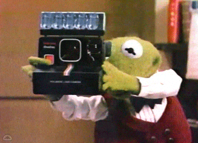 Instagram aesthetics 101: making your grid cohesive and attractive. Kermit the frog taking a Polaroid photo GIF.