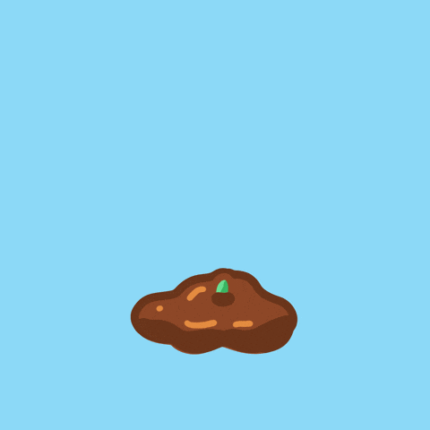 Planning growth without overloading yourself. Flower growing GIF.