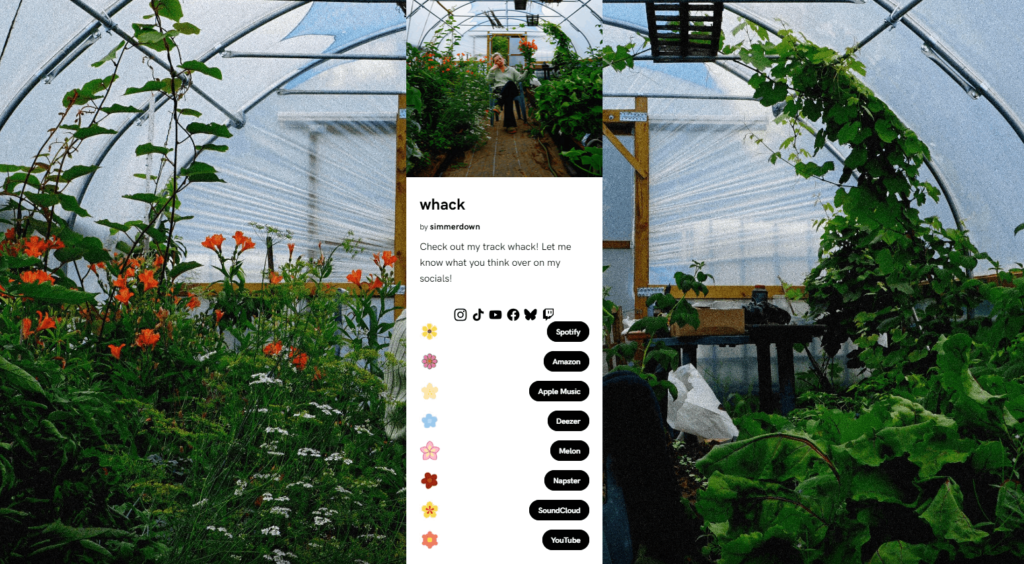 Enhance your Smart Links and connect with fans using new social media icons. Social icons at the top.
