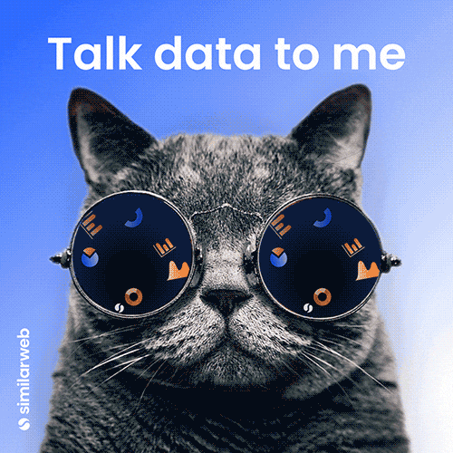 How people discover new music in 2026. GIF of a British Shorthair cat with round glasses on, lots of shapes moving in the glasses, text says "Talk data to me"