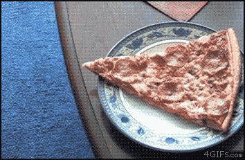 How to protect content from being stolen. Dog stealing a slice of pizza from a plate GIF.