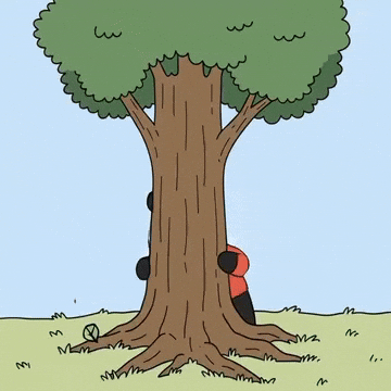 Why is my account not recommended? Panda hiding behind a tree GIF.