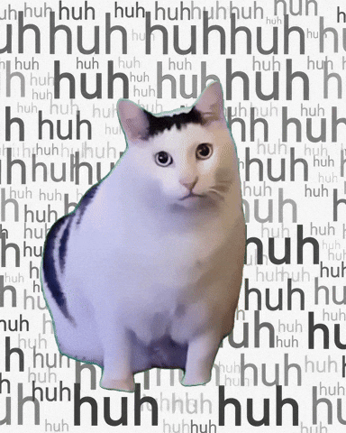 Why your music sounds ‘off’ (even when it’s technically good). Cat saying Huh GIF.