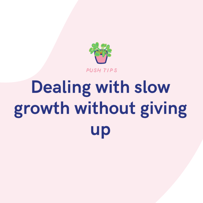 Dealing with slow growth without giving up