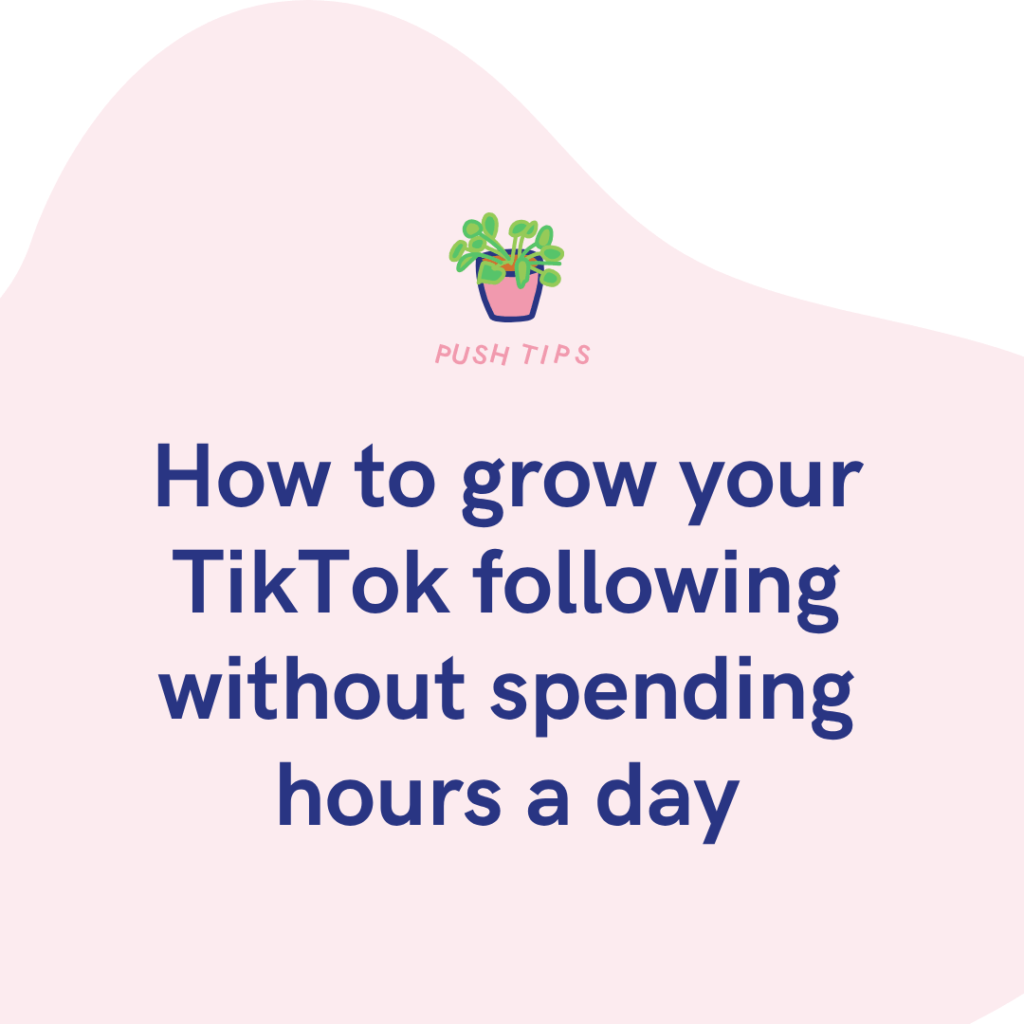 How to grow your TikTok following without spending hours a day