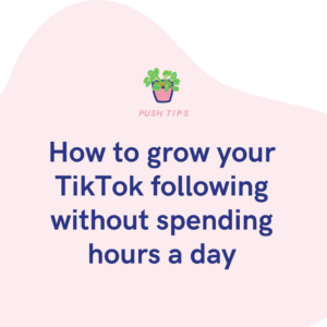 How to grow your TikTok following without spending hours a day
