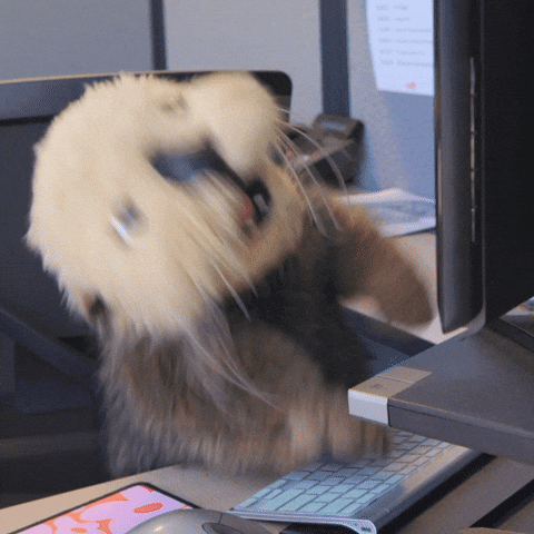 Email marketing for creators: why a "boring" mailing list is still your most valuable financial asset in 2026. Otter puppet smashing keyboard keys GIF.