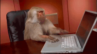 Email isn't dead: why a mailing list is an artist's best friend. Monkey smashing keyboard GIF.