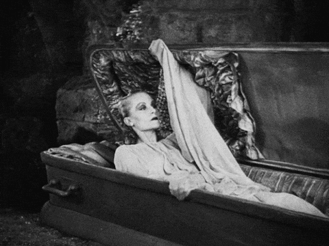 How to revive a social media page with zero engagement: Bringing your feed back from the dead. GIF of someone rising from a coffin. 