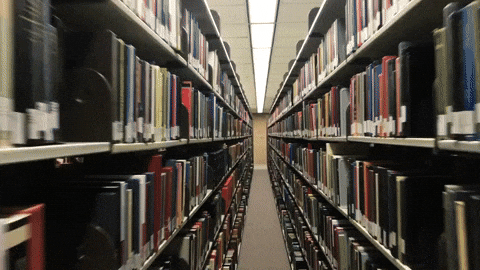 The stress-free guide to organizing your photo and video libraries. GIF of a library.