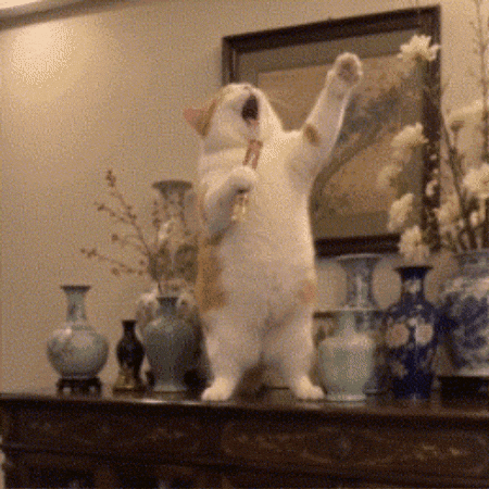 How independent artists can compete without a major label. Cat singing into treat as microphone GIF.