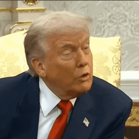 No need to fake it till you make it. Donald Trump fake GIF.